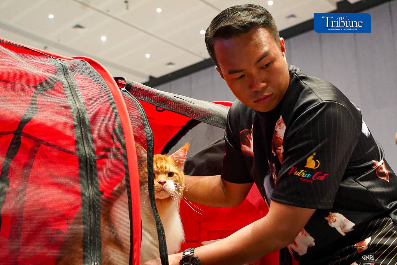 Cat enthusiasts and pet owners visit the 1st WCF Philippines World Show held at One Ayala in Makati. The show runs from 14 to 15 June 2024.